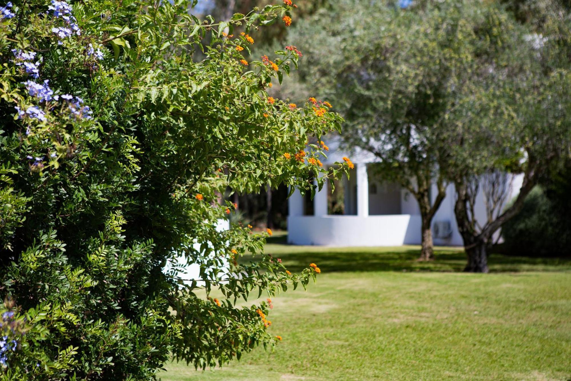 Flamingo 4* Santa Margherita di Pula